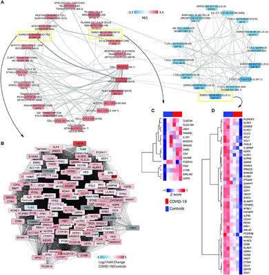 Frontiers Immune And Metabolic Signatures Of Covid Revealed By